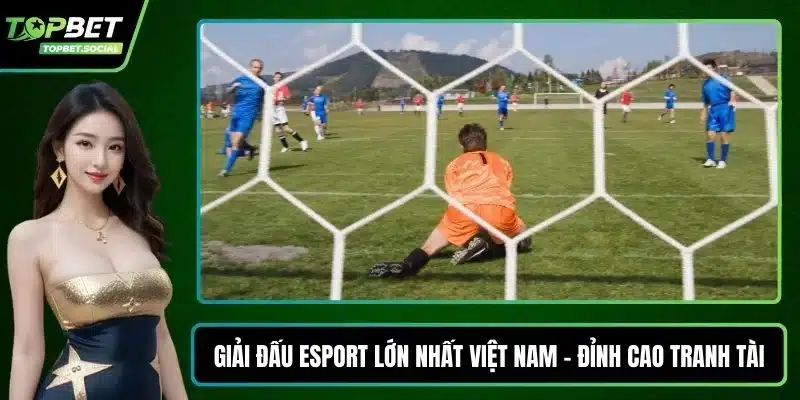 Giải đấu Esport lớn nhất Việt Nam