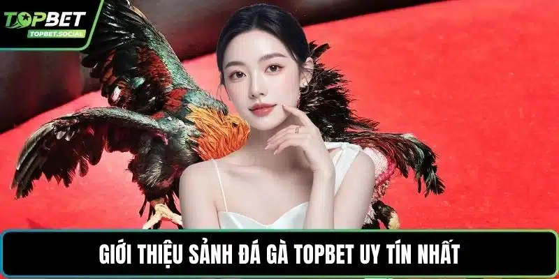 Giới thiệu sảnh đá gà Topbet uy tín nhất