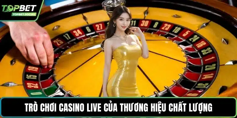 Trò chơi Casino Live của thương hiệu chất lượng